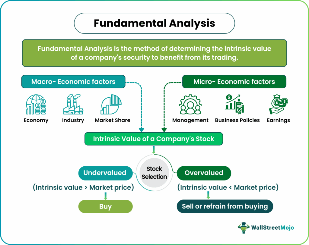 fundamental analysis basics for stocks