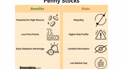 penny stocks investment risks